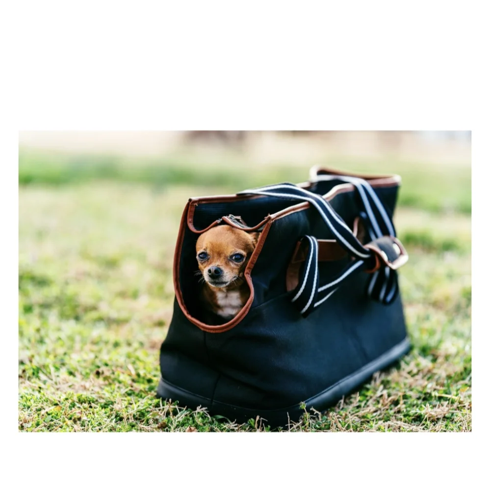 Dog carrier
